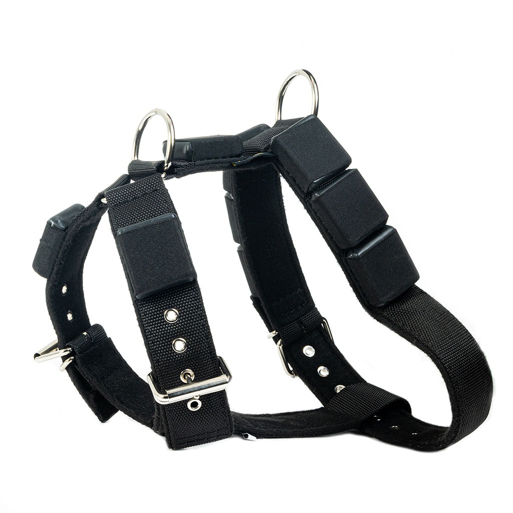 Viktsele - flera storlekar