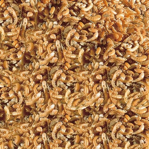 Sera Raffy I Nature  1000ml - 2