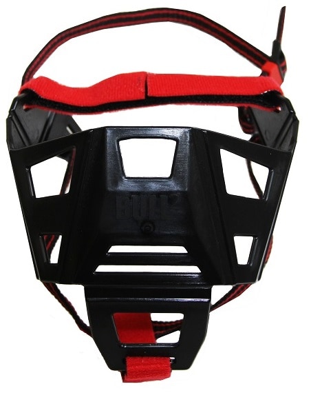 Munkorg Trubbnos Fransk Bulldog - 2