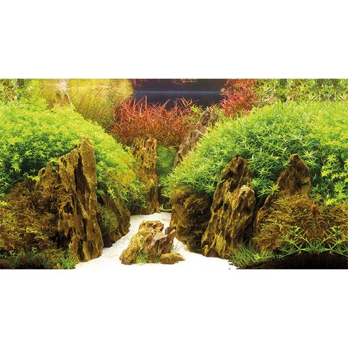 Bakgrund Canyon/Woodland - flera storlekar - 2