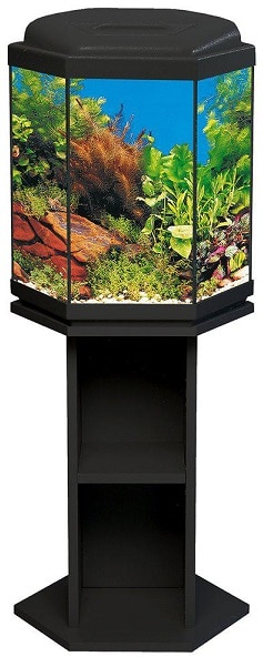 Akvarium 6-kant 17L med bänk & ramp