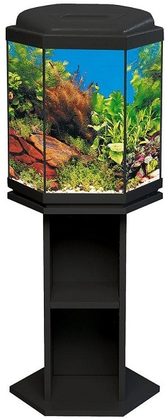 Akvarium 6-kant 30L med bänk & ramp