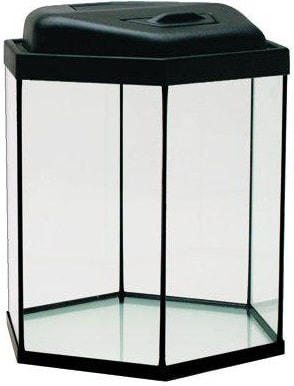 Akvarium 6-kant 48L med ramp