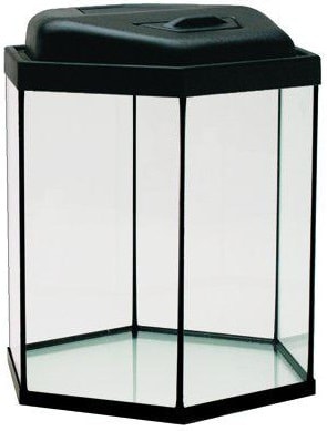 Akvarium 6-kant 30L med ramp
