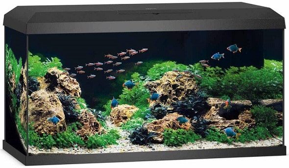 Juwel Primo 110 Svart 2.0