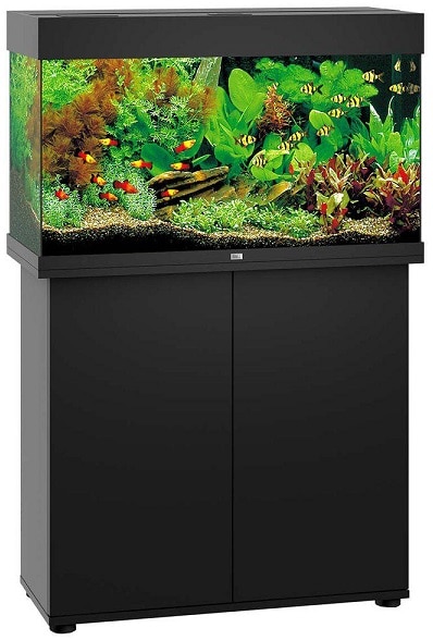 Juwel Rio 125 LED inkl. SBX-bänk Svart