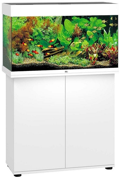 Juwel Rio 125 LED inkl. SBX-bänk Vit