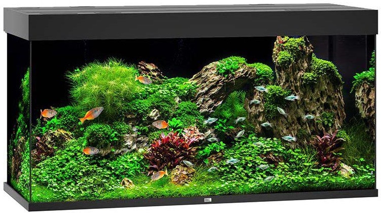 Juwel Rio 350 LED Akvarium Svart