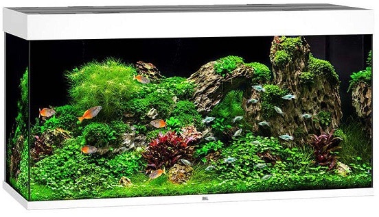 Juwel Rio 350 LED Akvarium Vit
