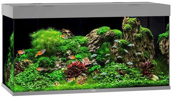 Juwel Rio 350 LED Akvarium Grå