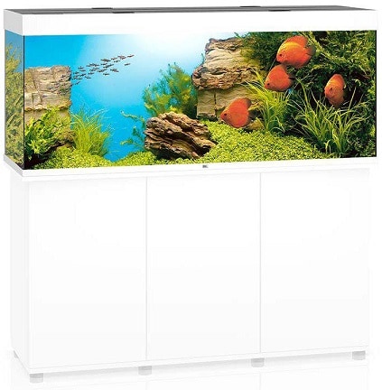 Juwel Rio 450 LED inkl. SBX-bänk Vit