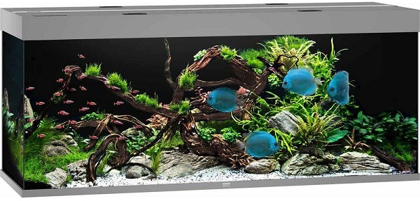 Juwel Rio 450 LED Akvarium Grå