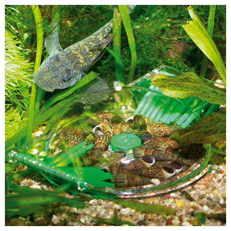 JBL Snigelfälla LimCollect - 2