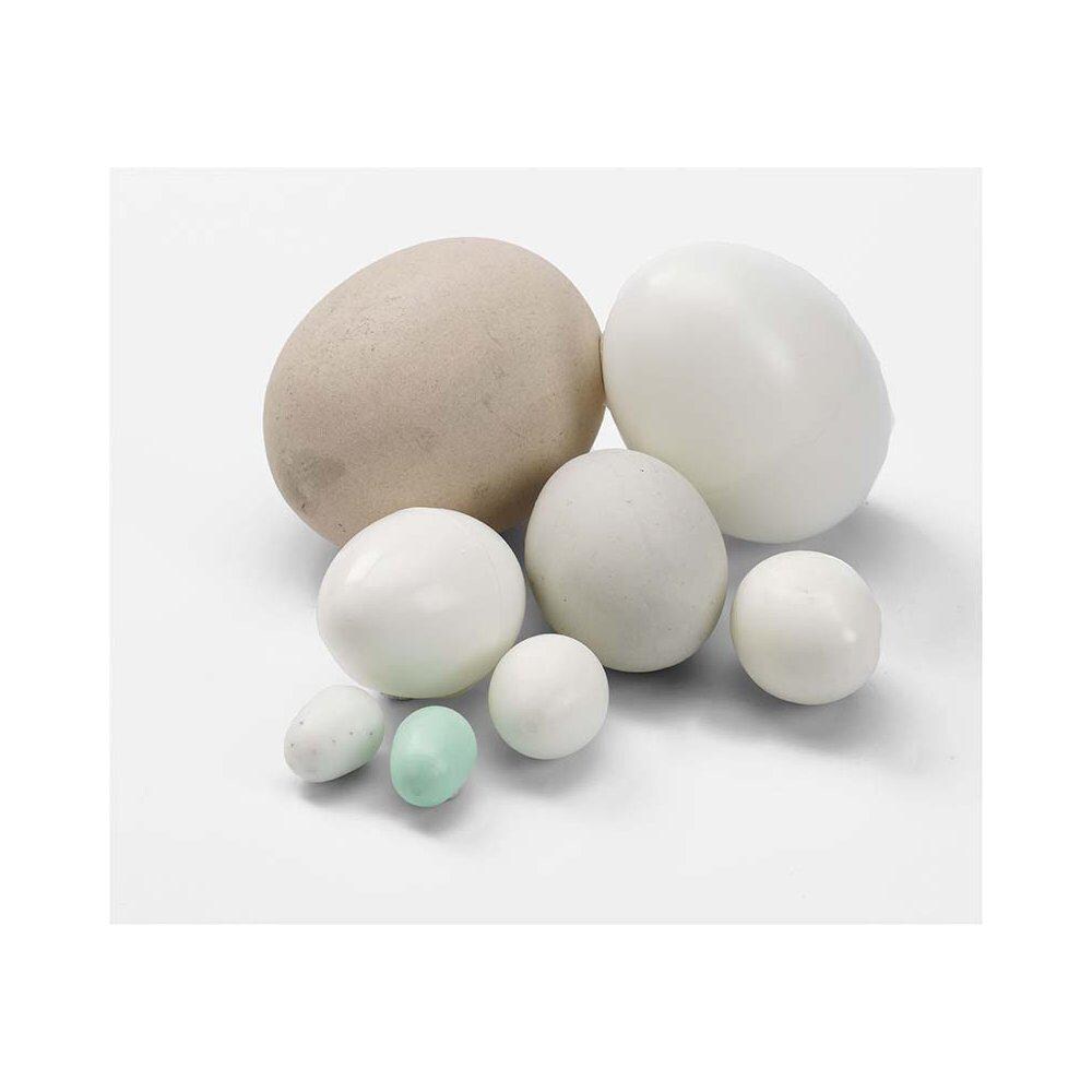 Kanarie redesägg - 2