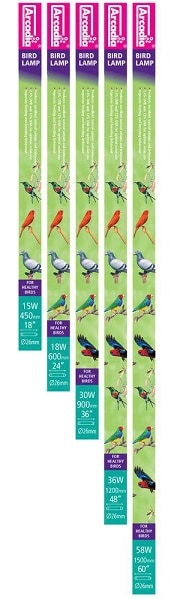 Fågellysrör Arcadia UVB (2.4%uvb 12%uva) - 2