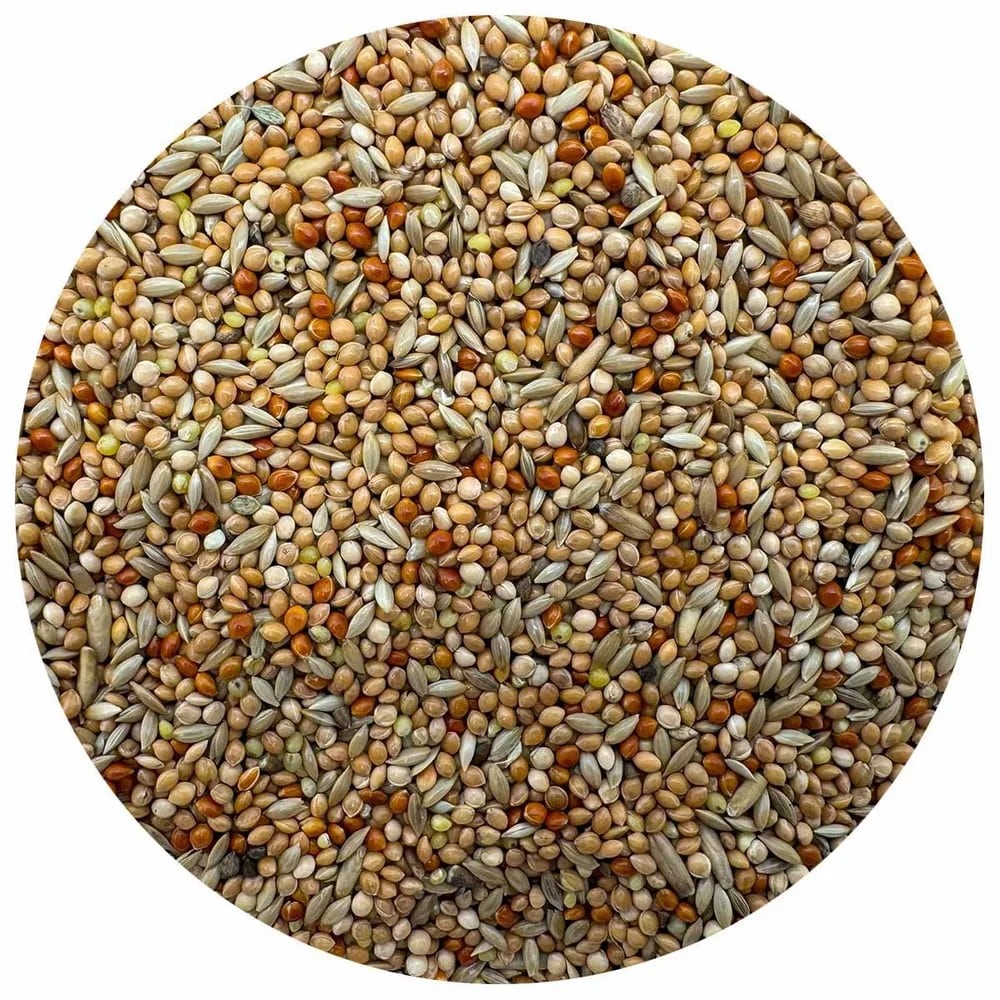 Bello Undulatblandning 25kg