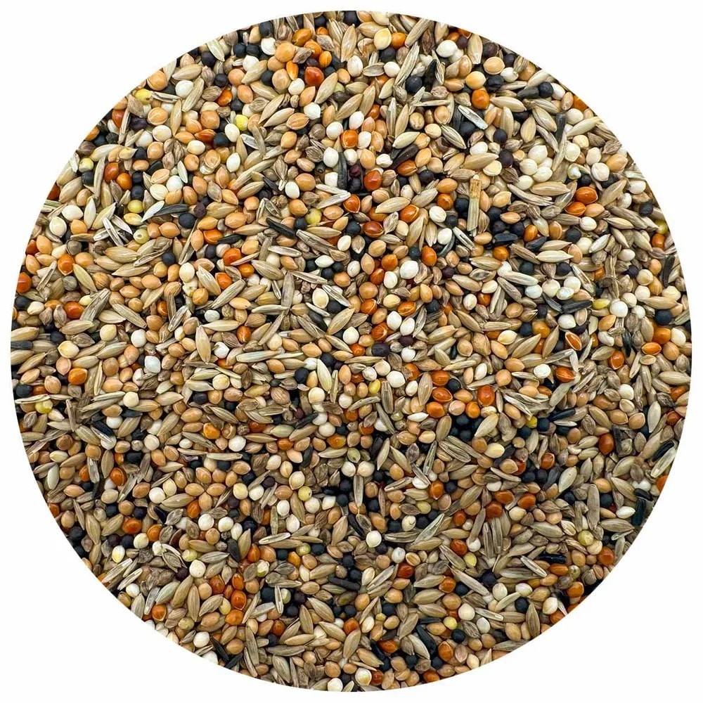 Bello Kanarieblandning 25kg