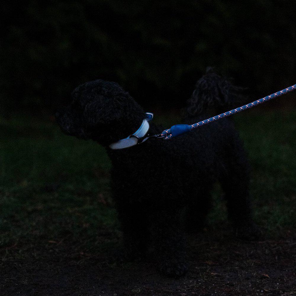 Halsband Aquatech Blå Reflex, flera storlekar - 2