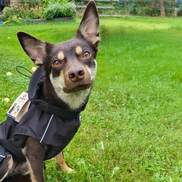 Regntäcke Ozami Outdoor Svart, flera storlekar