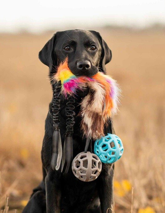 Hundleksak Faux Fur med boll 65cm Unicorn - 2