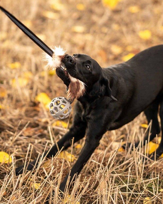 Hundleksak Faux Fur med boll 65cm Brun/Beige - 2
