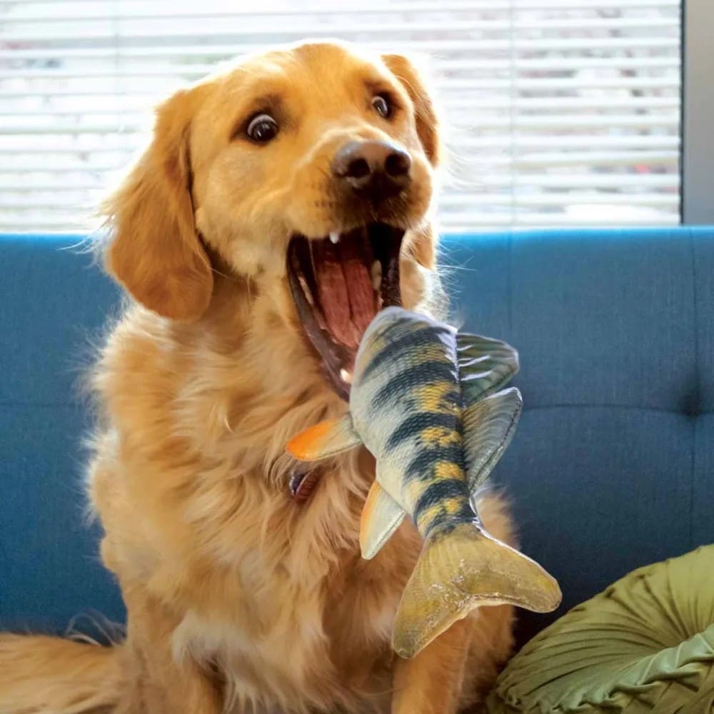 Kong Wild Shieldz Abborre Medium - 2