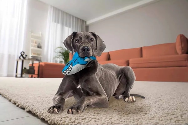 Kong Maxx Shark 26,5x15x5cm - 2