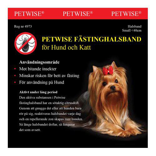 Fästinghalsband liten hund