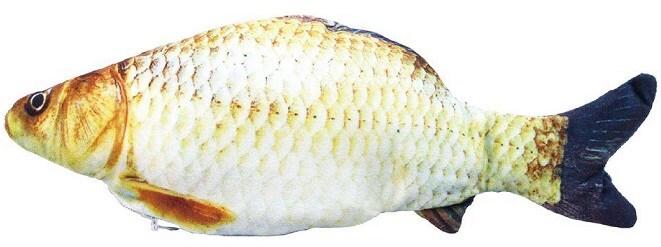 Kattleksak sprattlande Gräskarp 25cm med catnip