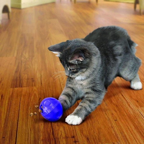 Kong Active Cat Treat Ball - 2