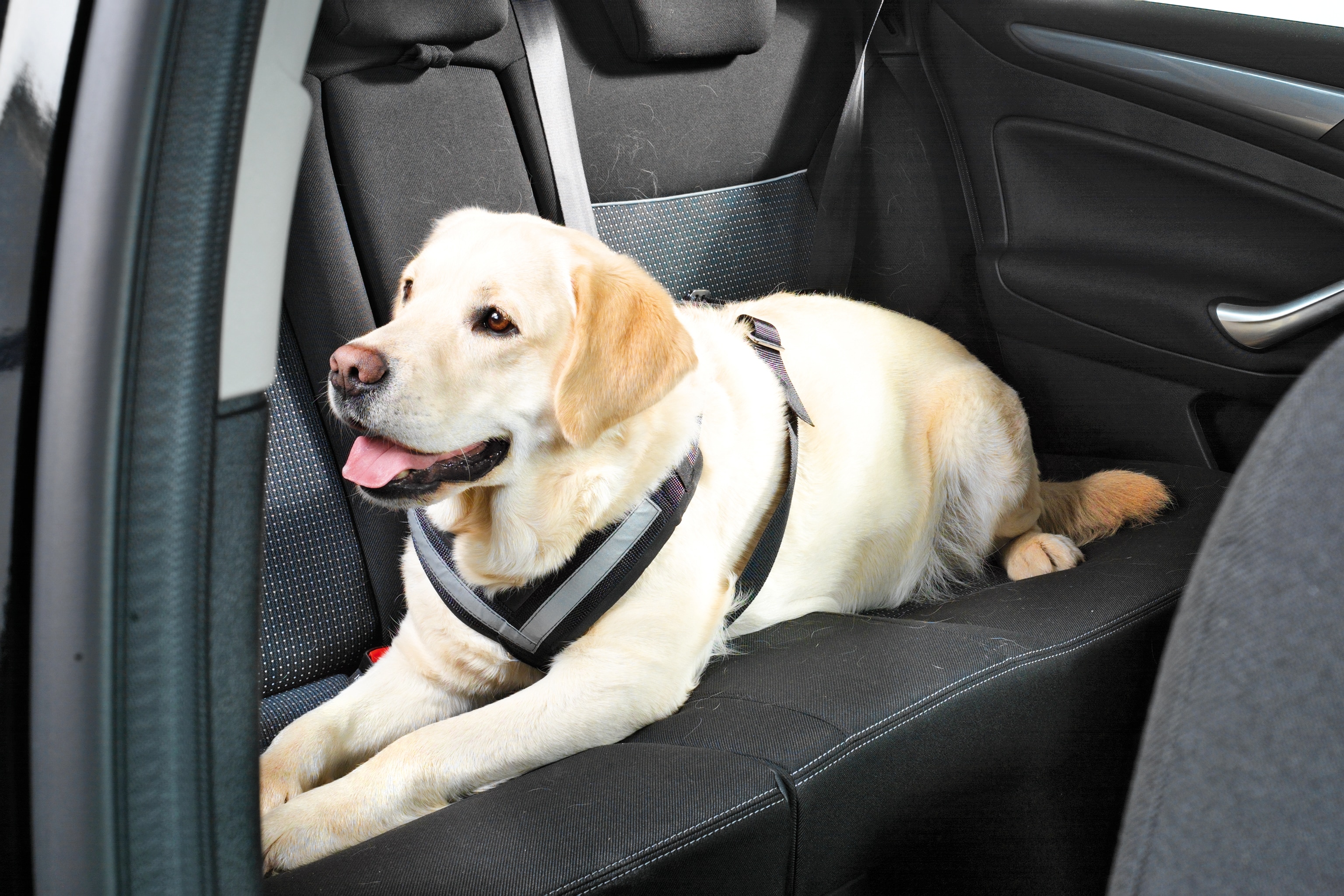 Bilsele ALLsafe krocktestad - 2