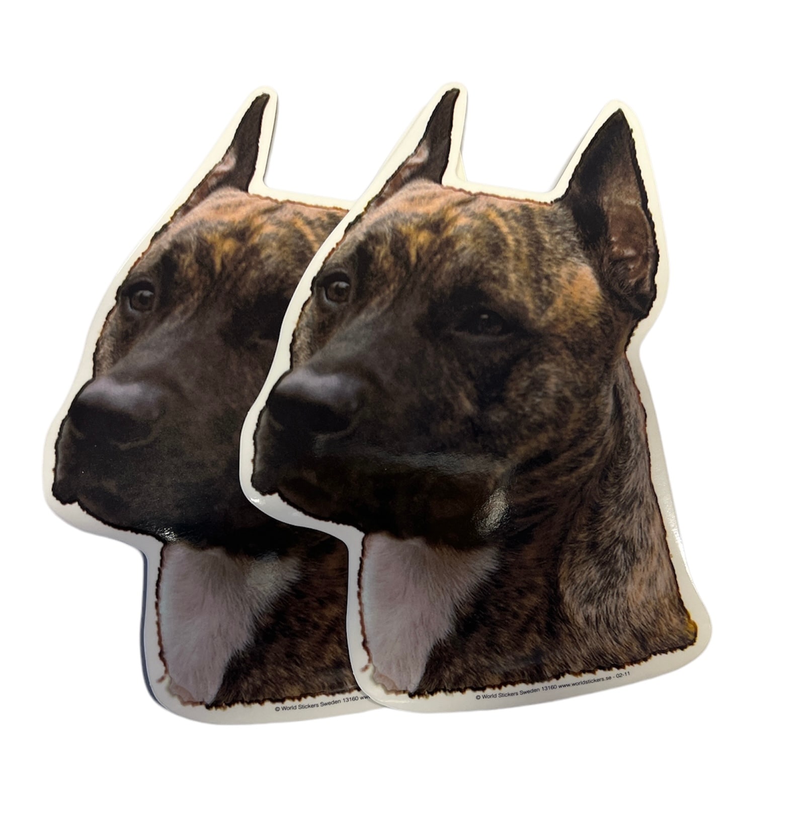 Dekal Hund medium 2-pack - Amerikansk Staffordshire Terrier huvud