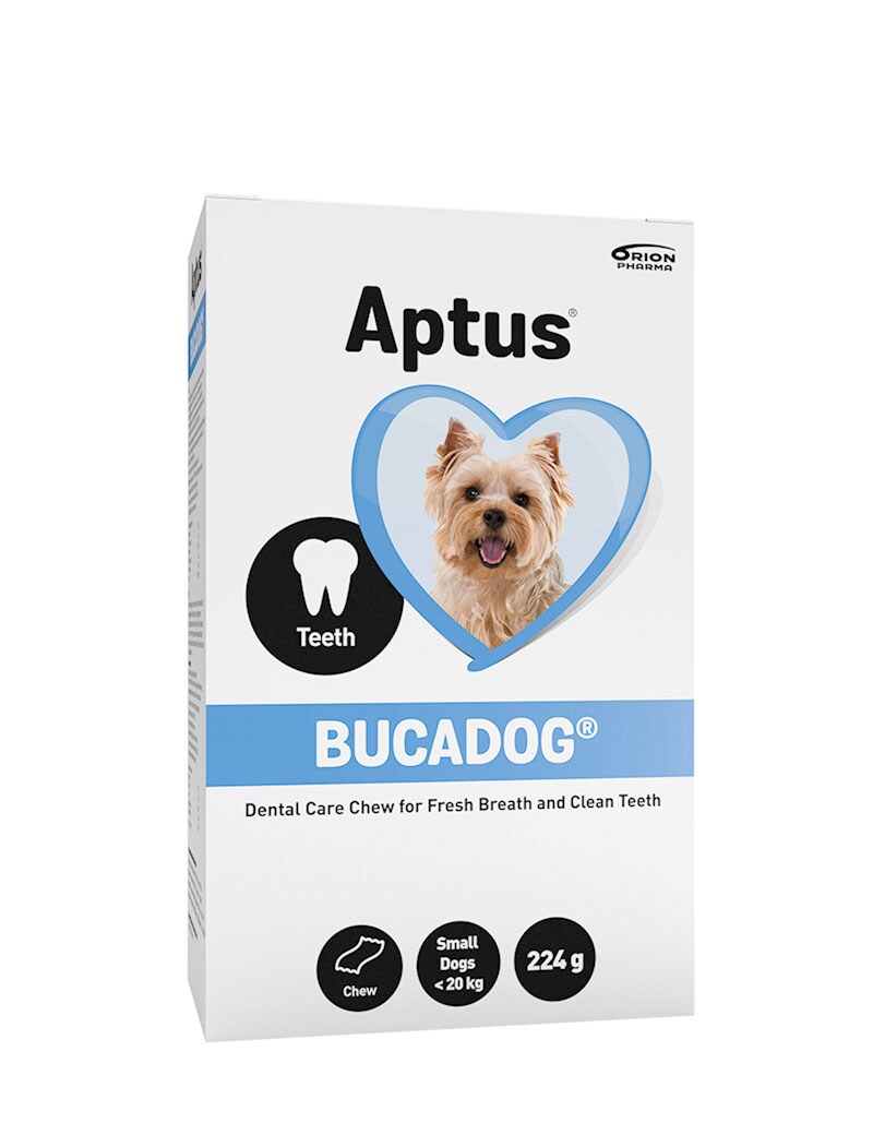 Aptus Bucadog tuggbitar S 24-27st