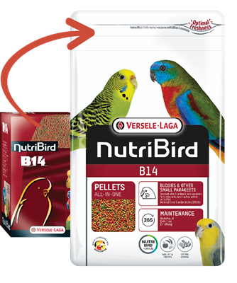 Nutribird B14 Undulat 800g