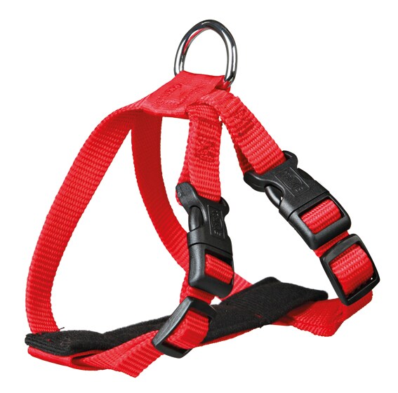 Bilsele för katt med fäste - 2