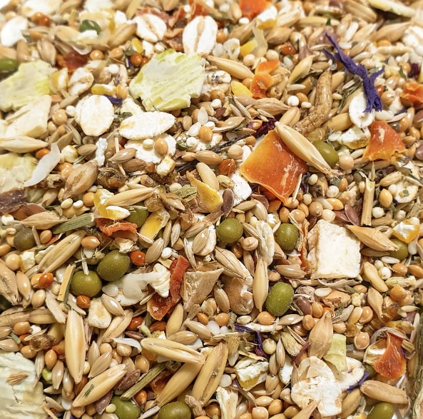 Hamster Dream Expert 500g - 2