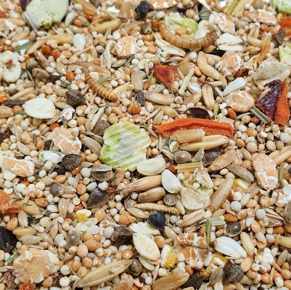 Mouse Dream Expert 500g - 2