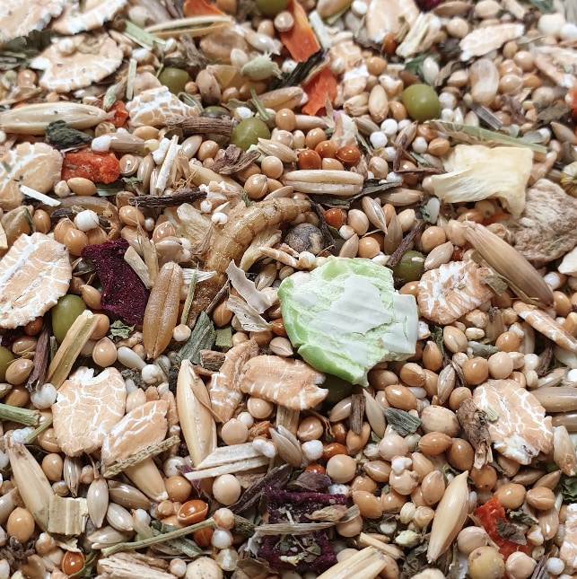 Gerbil Dream Expert 500g - 2