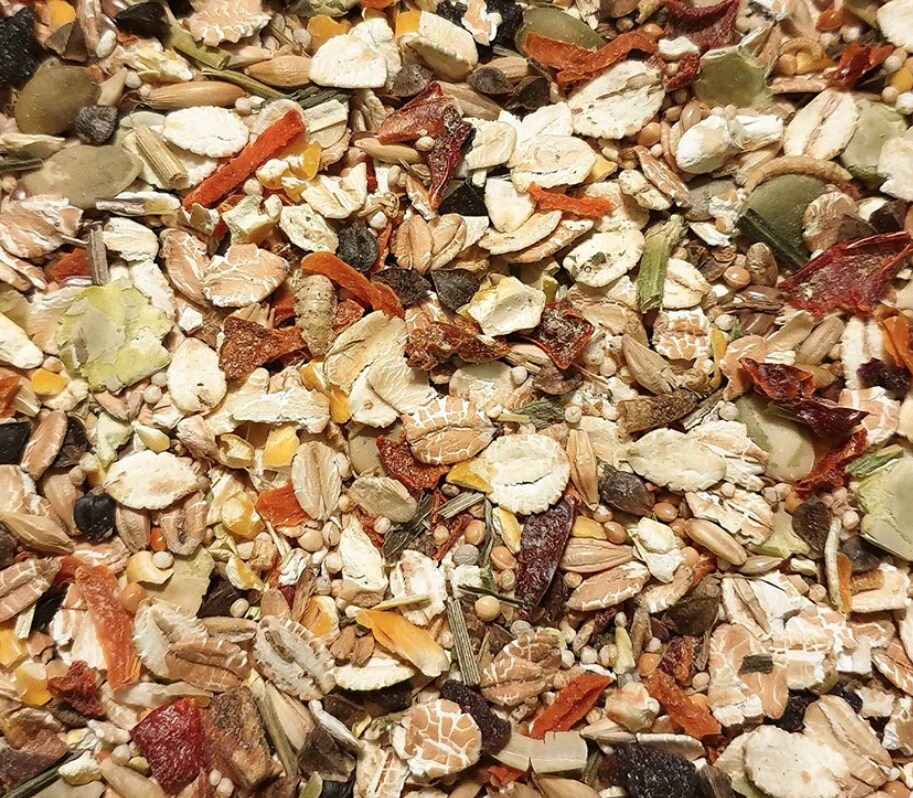 Rat Dream Expert 500g - 2