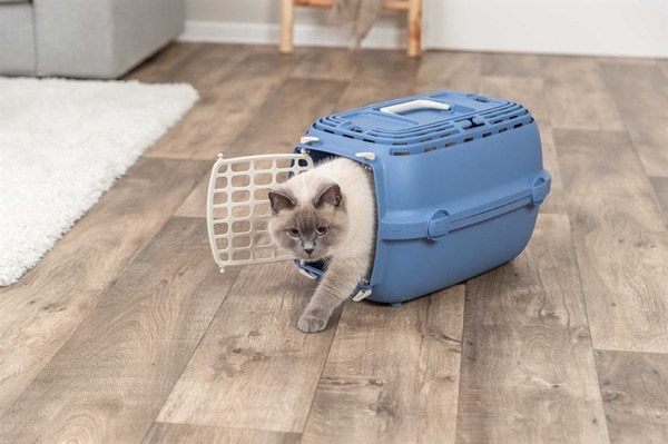 Transportbur Relax1 XS Blå 32x30x48cm