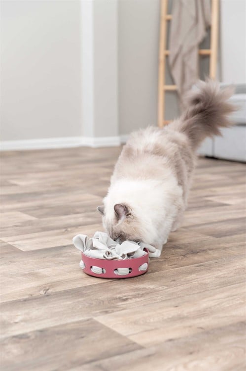 Cat Hide N Sniff 18cm