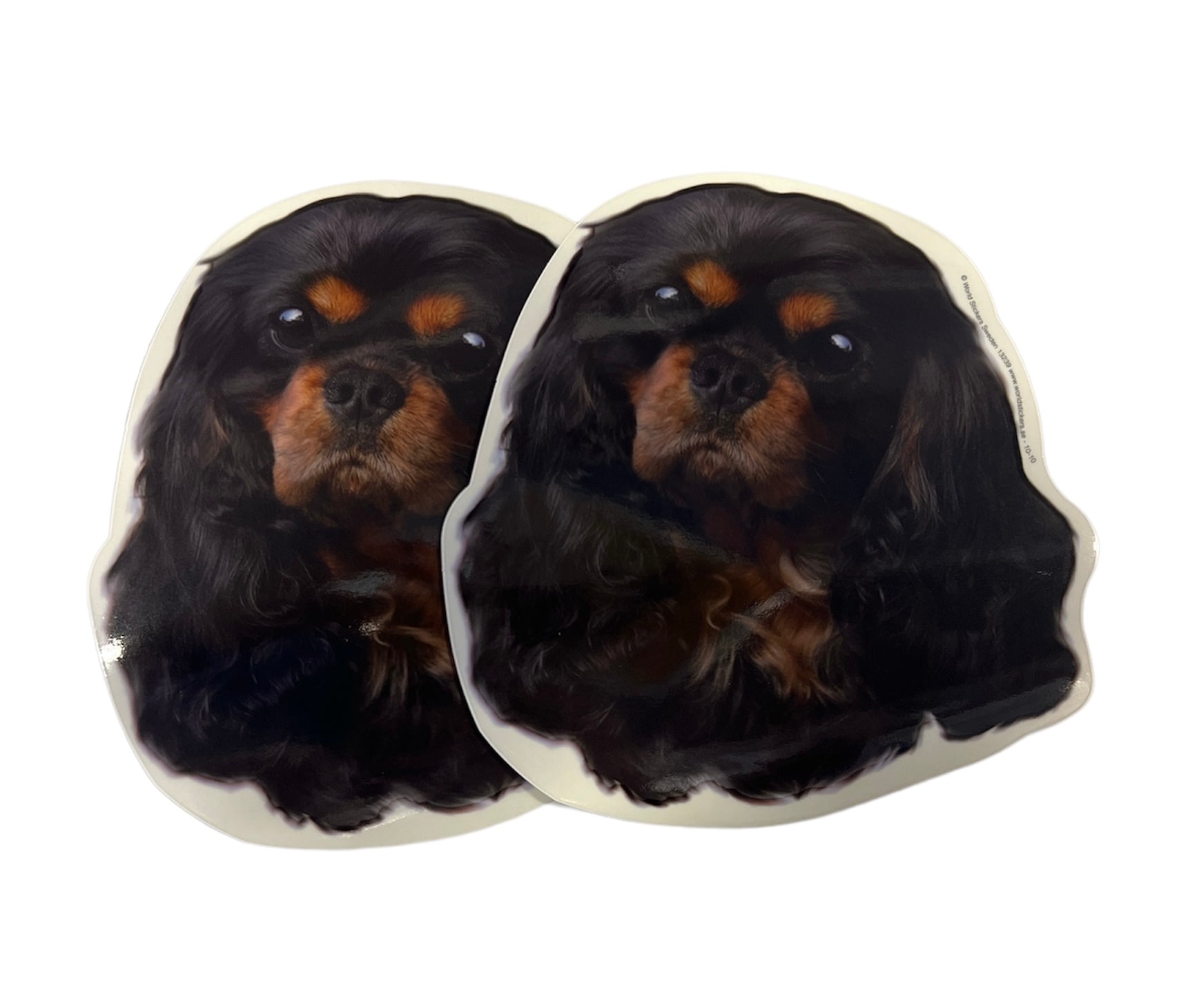 Dekal Hund medium 2-pack - Cavalier King Charles Svart/Brun huvud