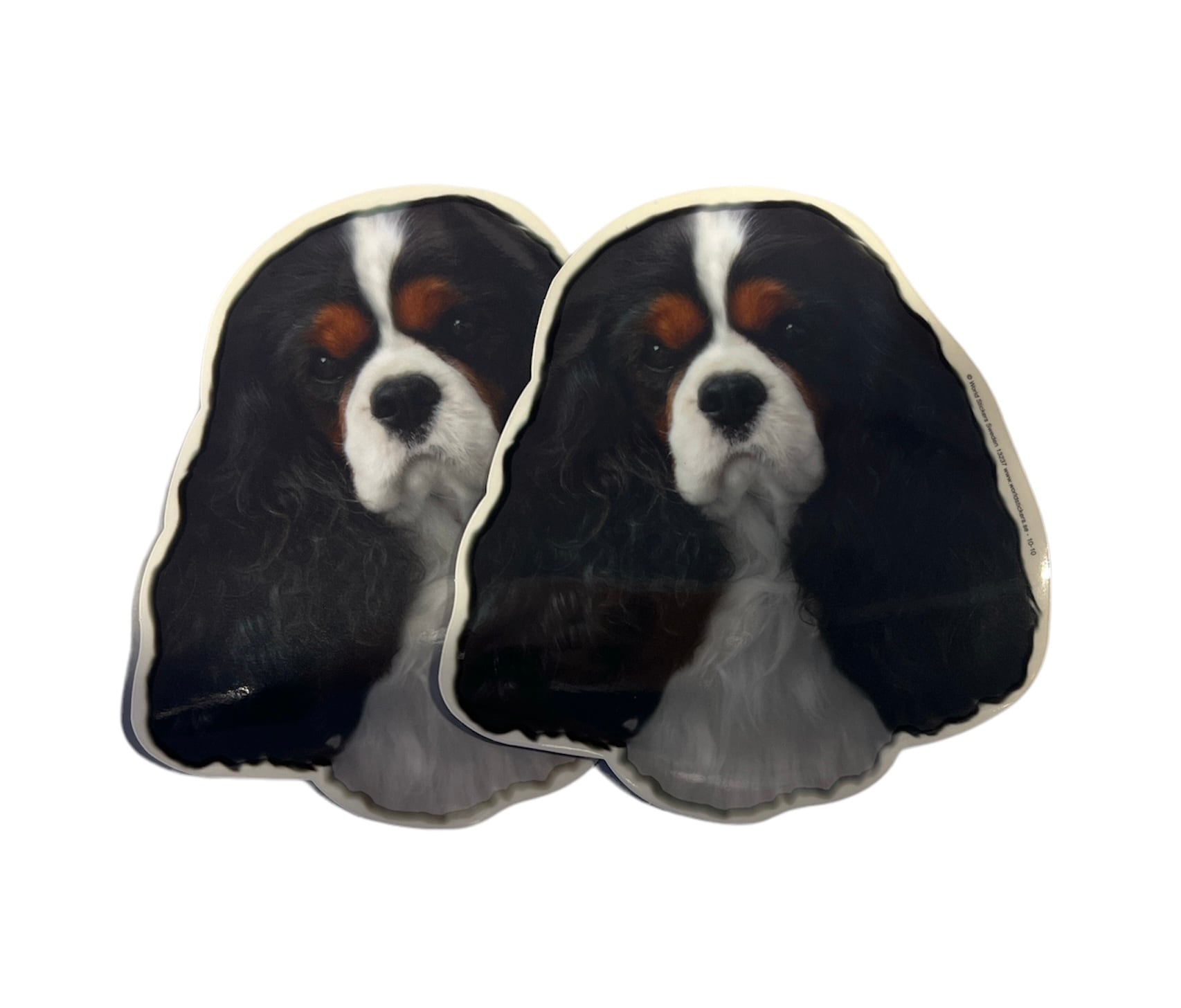 Dekal Hund medium 2-pack - Cavalier King Charles Svart/Vit huvud
