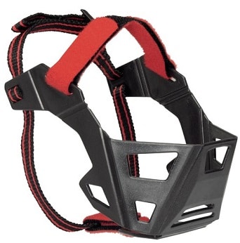 Munkorg Trubbnos Fransk Bulldog