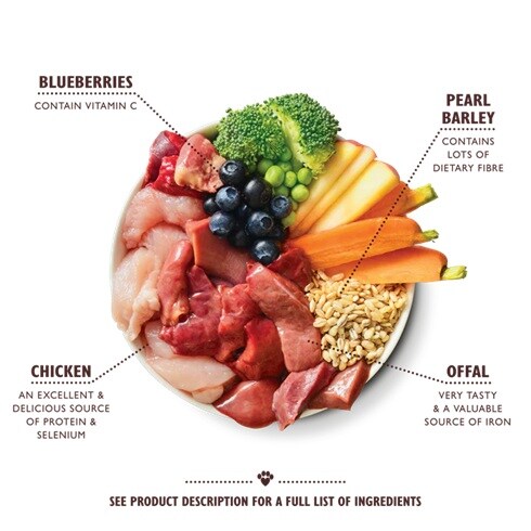 Lily´s Dog Chicken & Turkey Casserole 400g