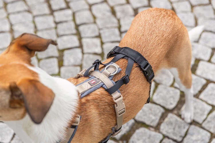 Panic-adapter för sele - Flera Storlekar