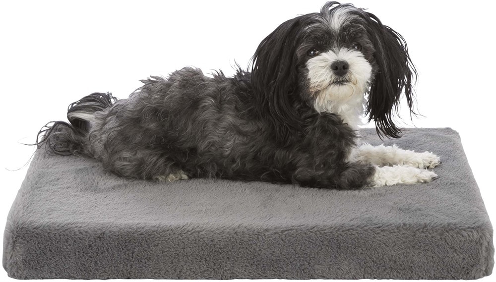 Lonni Vital Madrass - 2