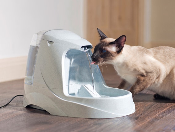 Drinkwell Platinum 5liter - 2