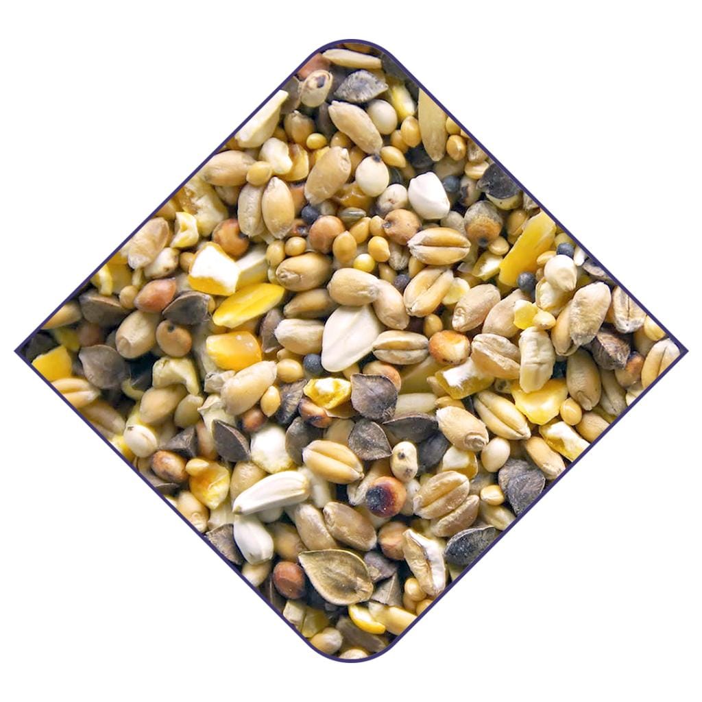 Witte Molen Expert Duvblandning 20kg () - 2