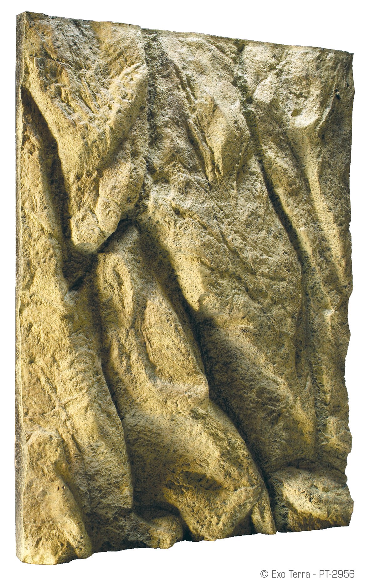 ExoTerra bakgrund 45x60cm - 2